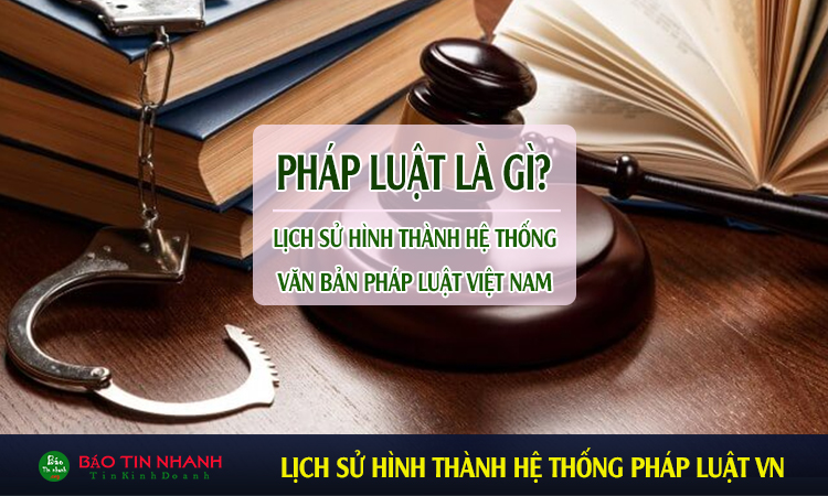 Pháp luật