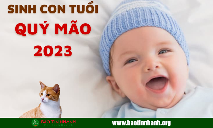 Năm 2023 