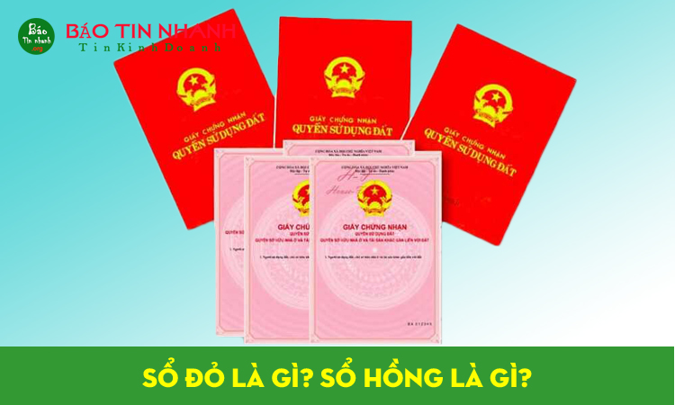 Sổ hồng