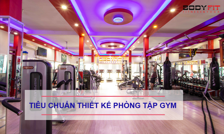 Thiết kế phòng tập gym 